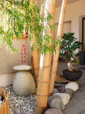 Garni Cremona Bed & Breakfast Bressanone Dış mekan fotoğraf